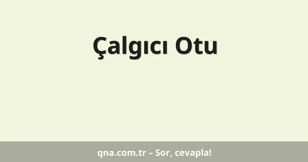 Çalgıcı Otu