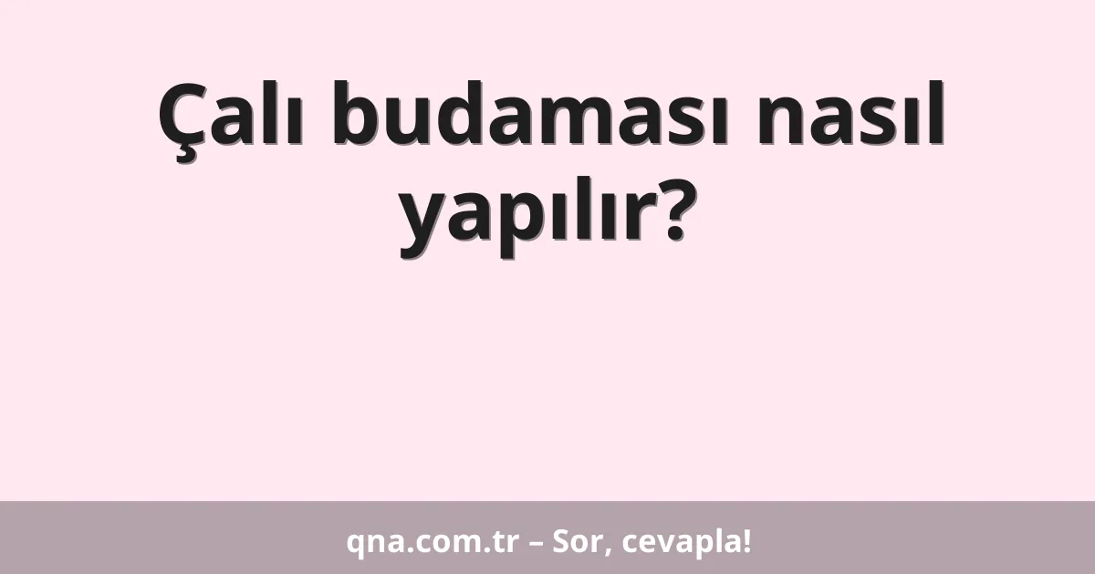 Çalı budaması nasıl yapılır?