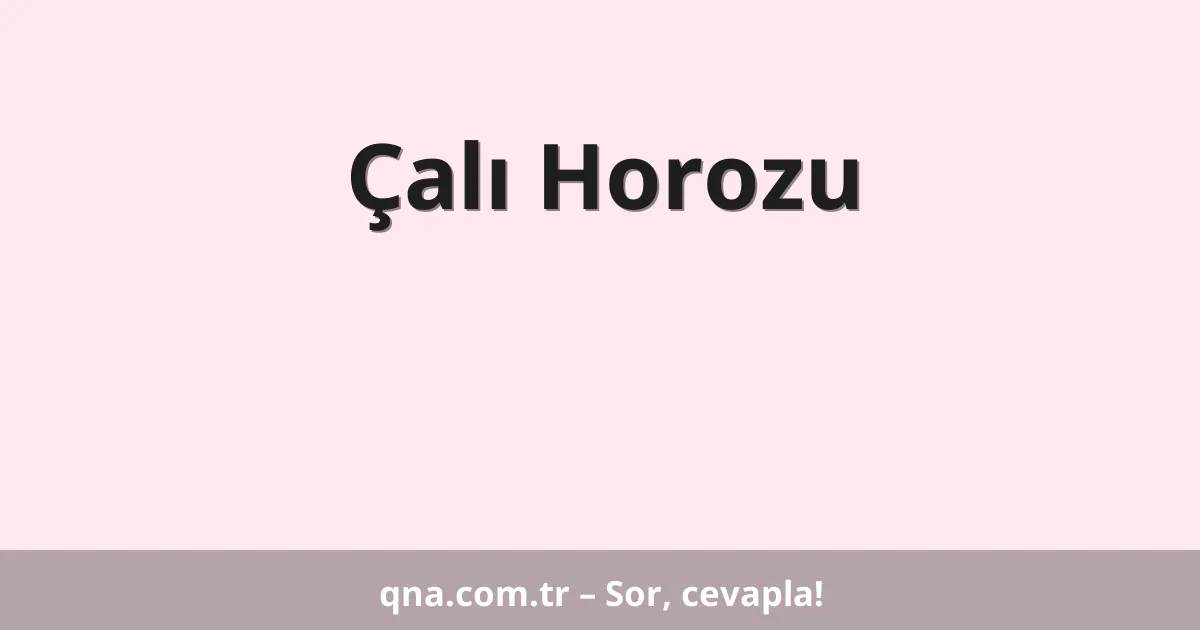 Çalı Horozu
