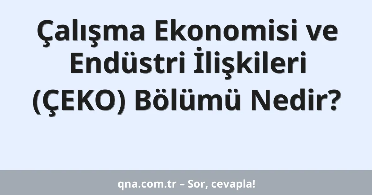 Çalışma Ekonomisi ve Endüstri İlişkileri (ÇEKO) Bölümü Nedir?