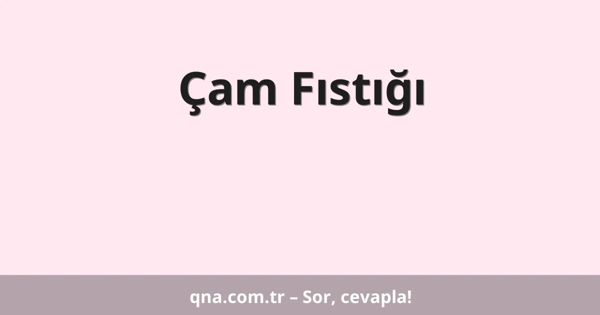 Çam Fıstığı