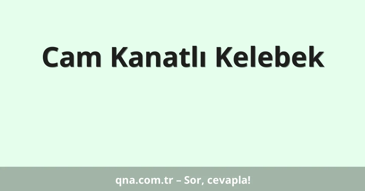 Cam Kanatlı Kelebek