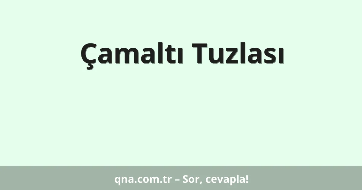 Çamaltı Tuzlası