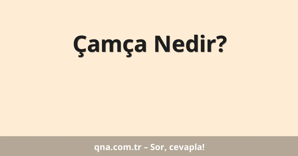 Çamça Nedir?