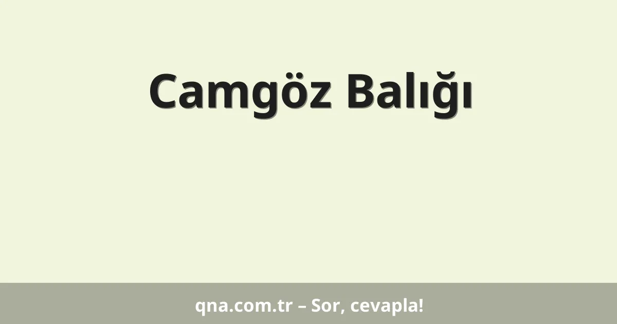 Camgöz Balığı