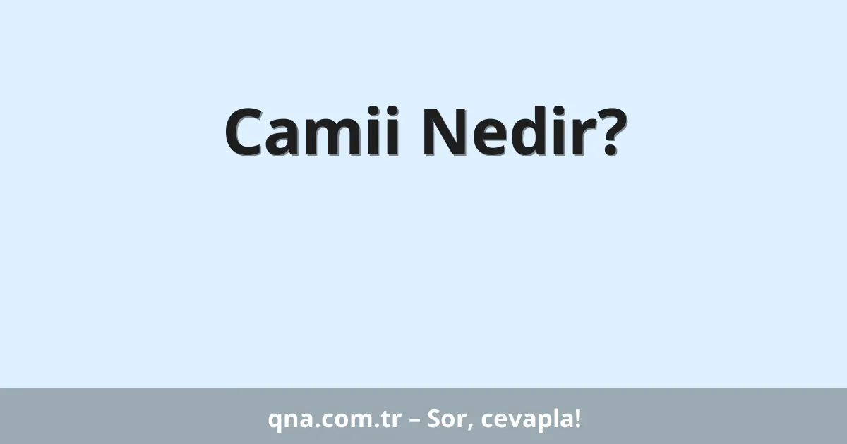 Camii Nedir?