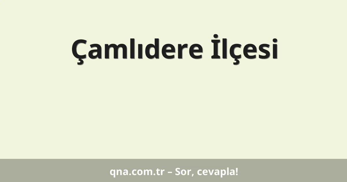 Çamlıdere İlçesi