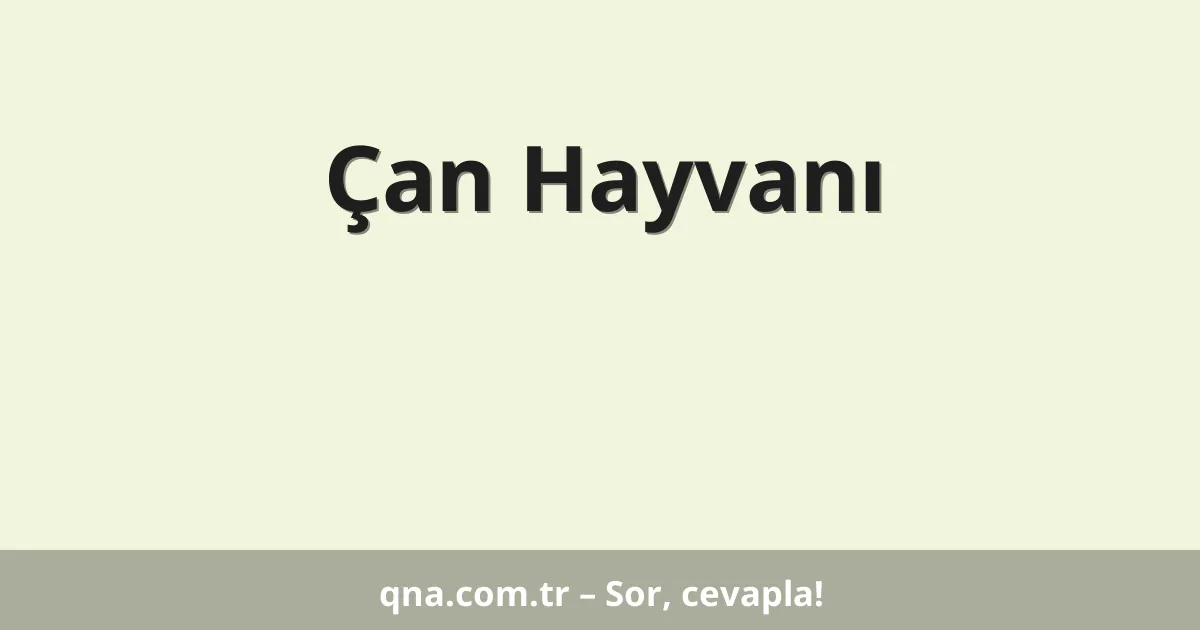 Çan Hayvanı