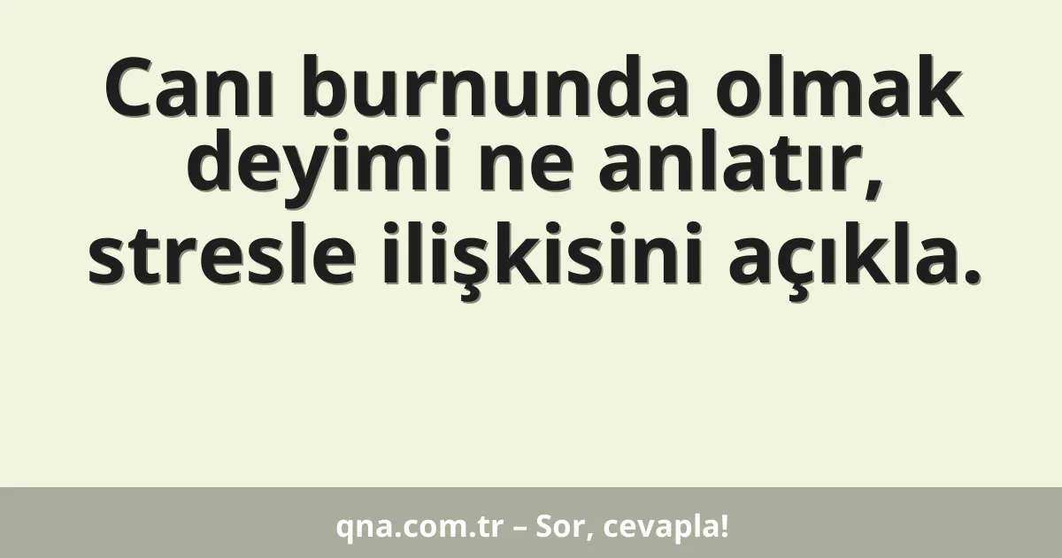 Canı burnunda olmak deyimi ne anlatır, stresle ilişkisini açıkla.