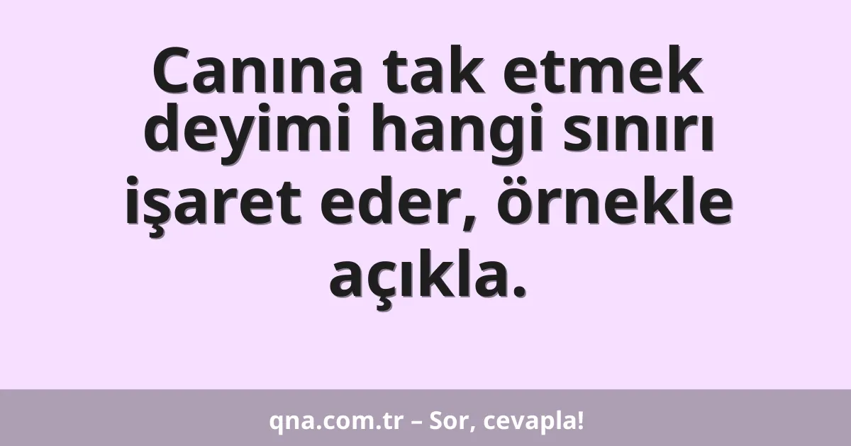 Canına tak etmek deyimi hangi sınırı işaret eder, örnekle açıkla.