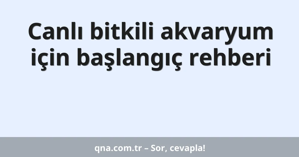 Canlı bitkili akvaryum için başlangıç rehberi