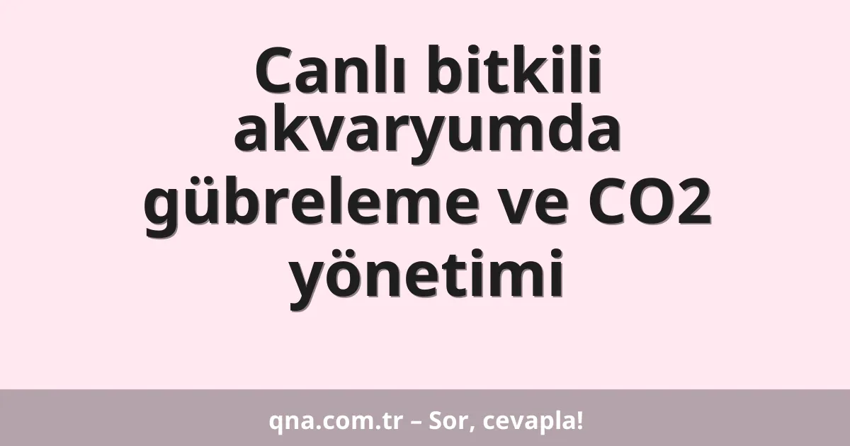 Canlı bitkili akvaryumda gübreleme ve CO2 yönetimi