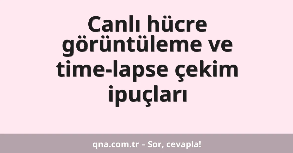 Canlı hücre görüntüleme ve time-lapse çekim ipuçları