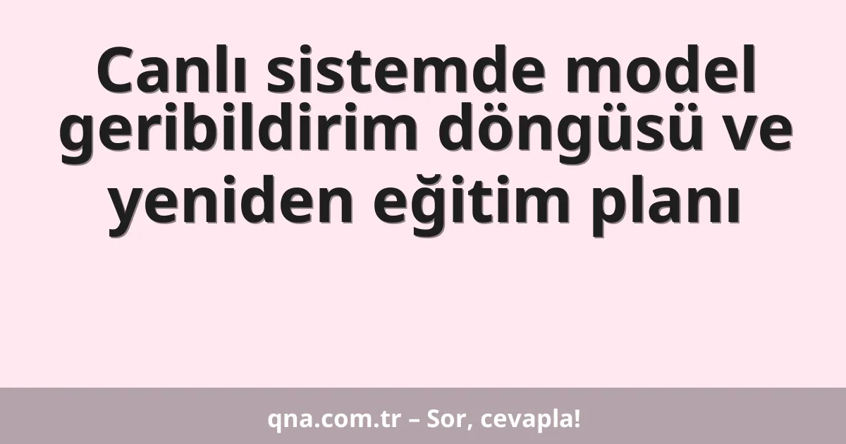 Canlı sistemde model geribildirim döngüsü ve yeniden eğitim planı