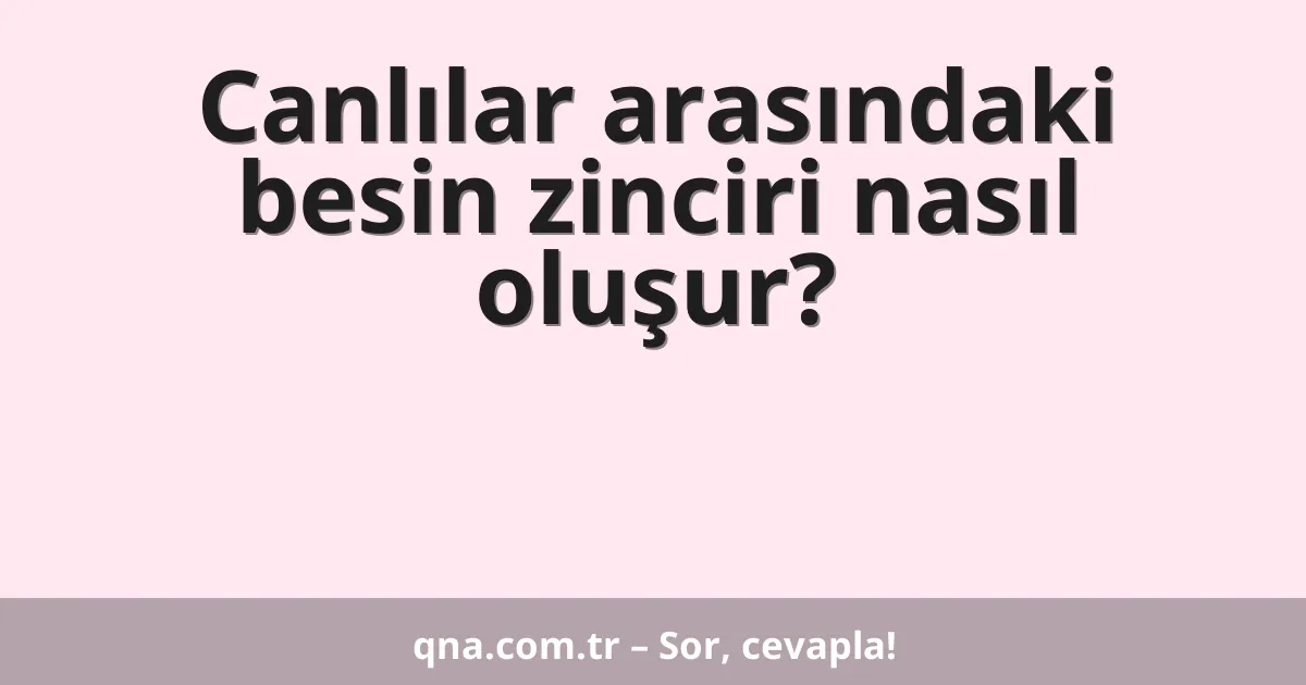 Canlılar arasındaki besin zinciri nasıl oluşur?