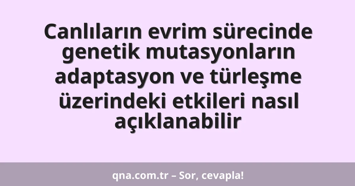 Canlıların evrim sürecinde genetik mutasyonların adaptasyon ve türleşme üzerindeki etkileri nasıl açıklanabilir