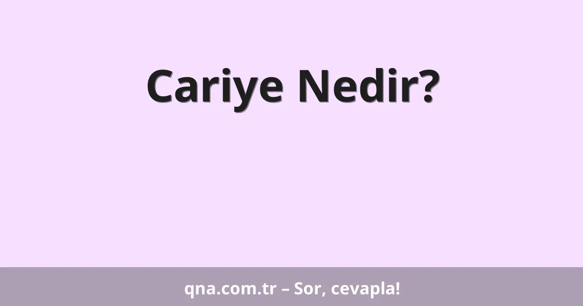 Cariye Nedir?