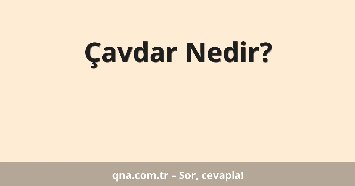 Çavdar Nedir?