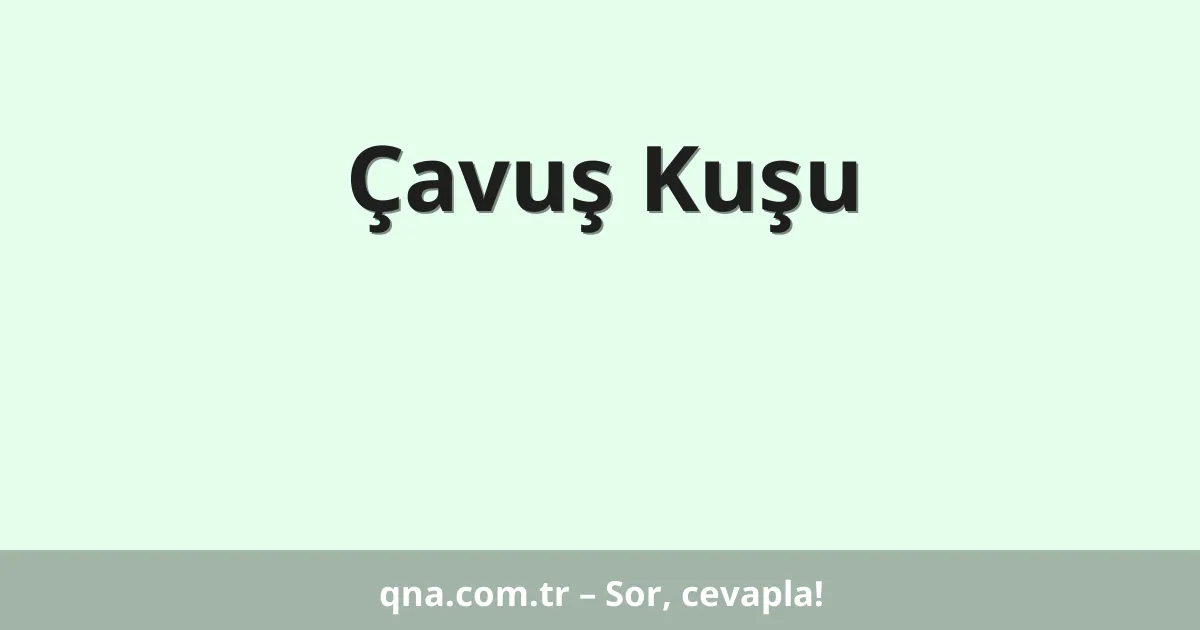 Çavuş Kuşu