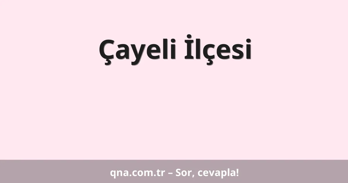 Çayeli İlçesi