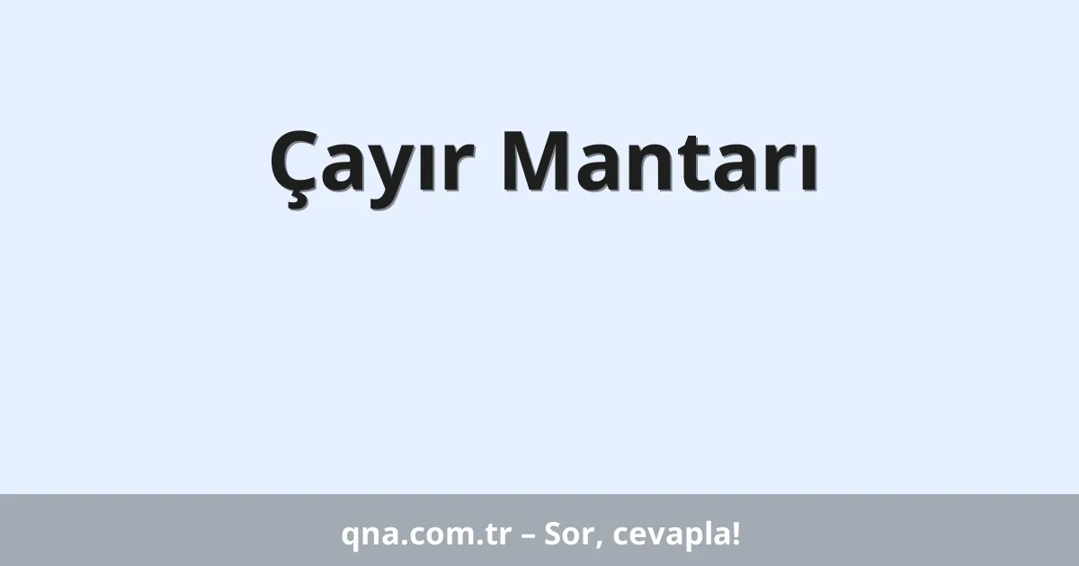 Çayır Mantarı