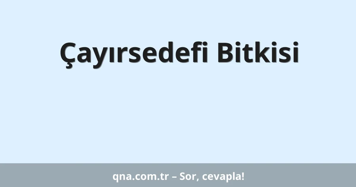 Çayırsedefi Bitkisi