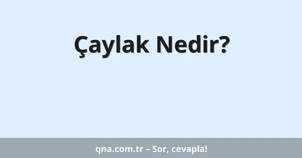 Çaylak Nedir?