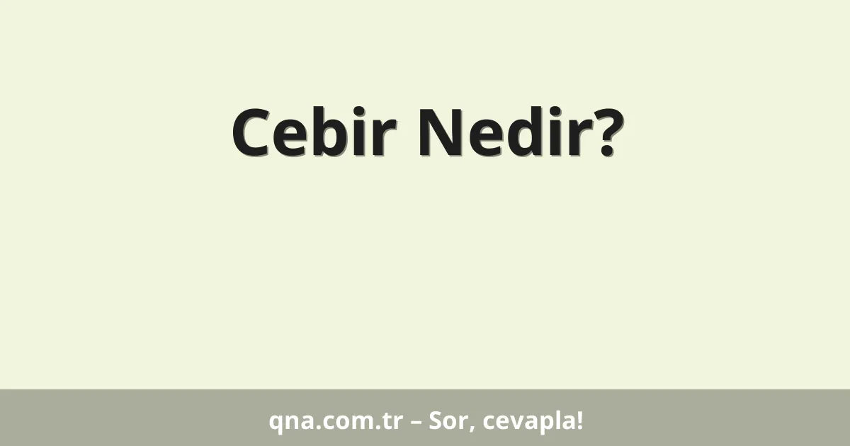 Cebir Nedir?