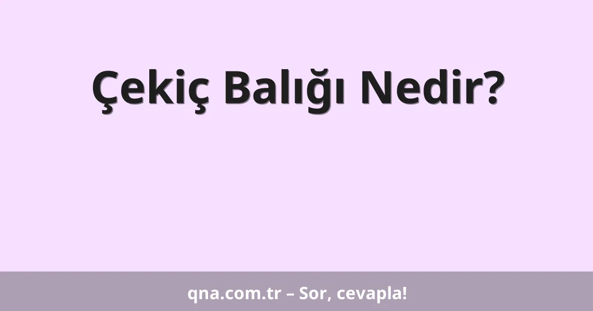 Çekiç Balığı Nedir?