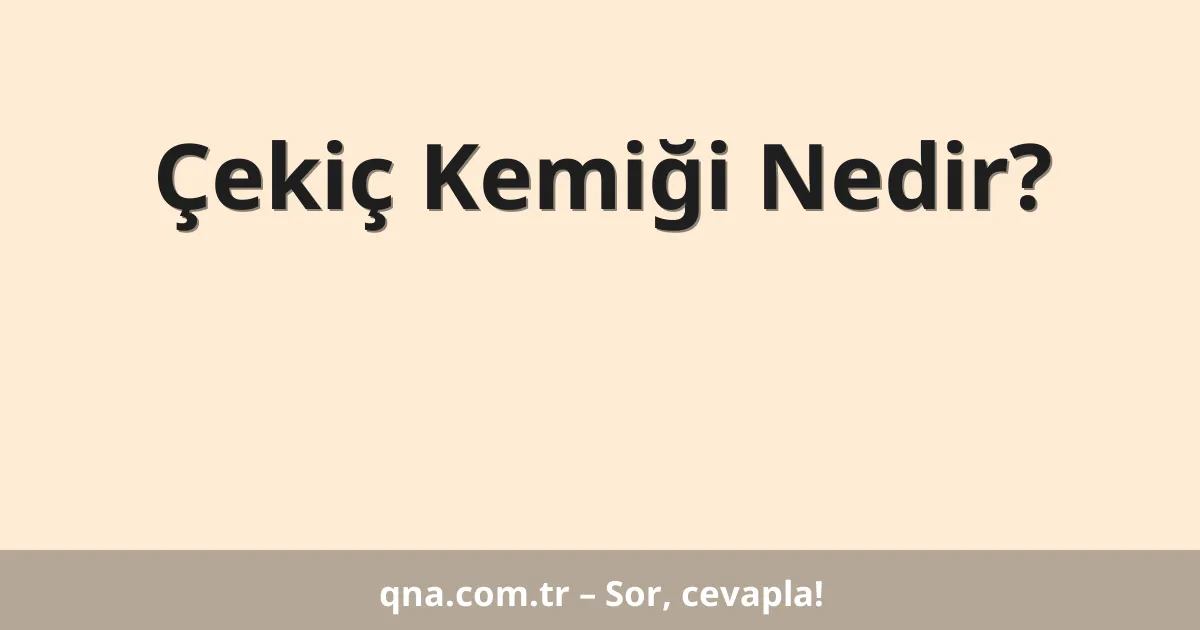 Çekiç Kemiği Nedir?