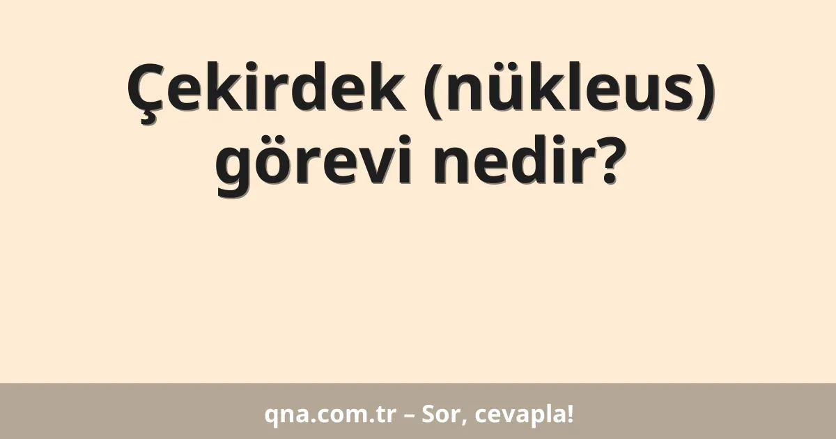 Çekirdek (nükleus) görevi nedir?