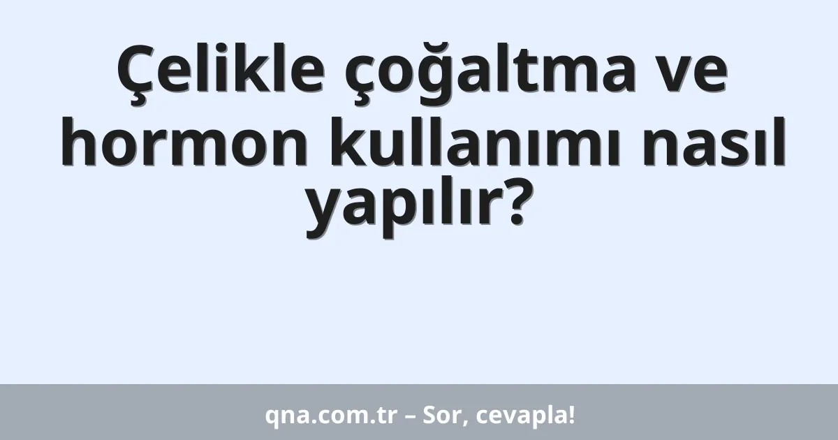 Çelikle çoğaltma ve hormon kullanımı nasıl yapılır?