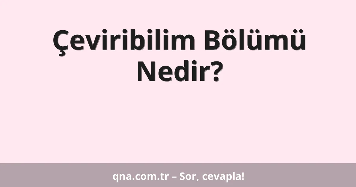Çeviribilim Bölümü Nedir?
