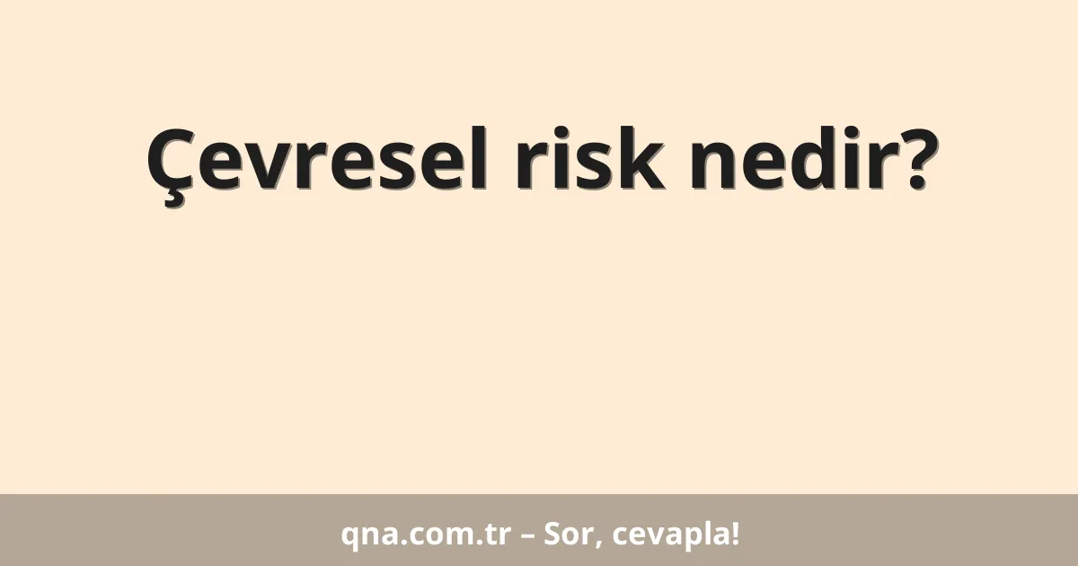 Çevresel risk nedir?