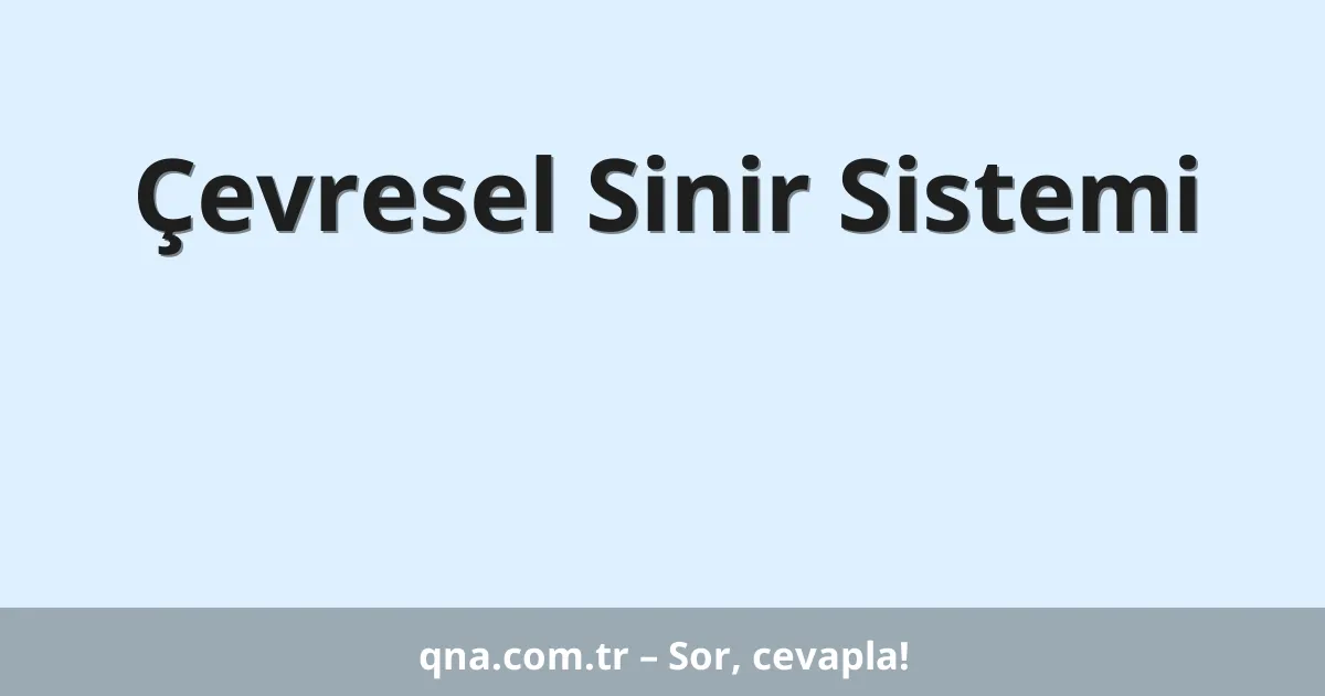 Çevresel Sinir Sistemi