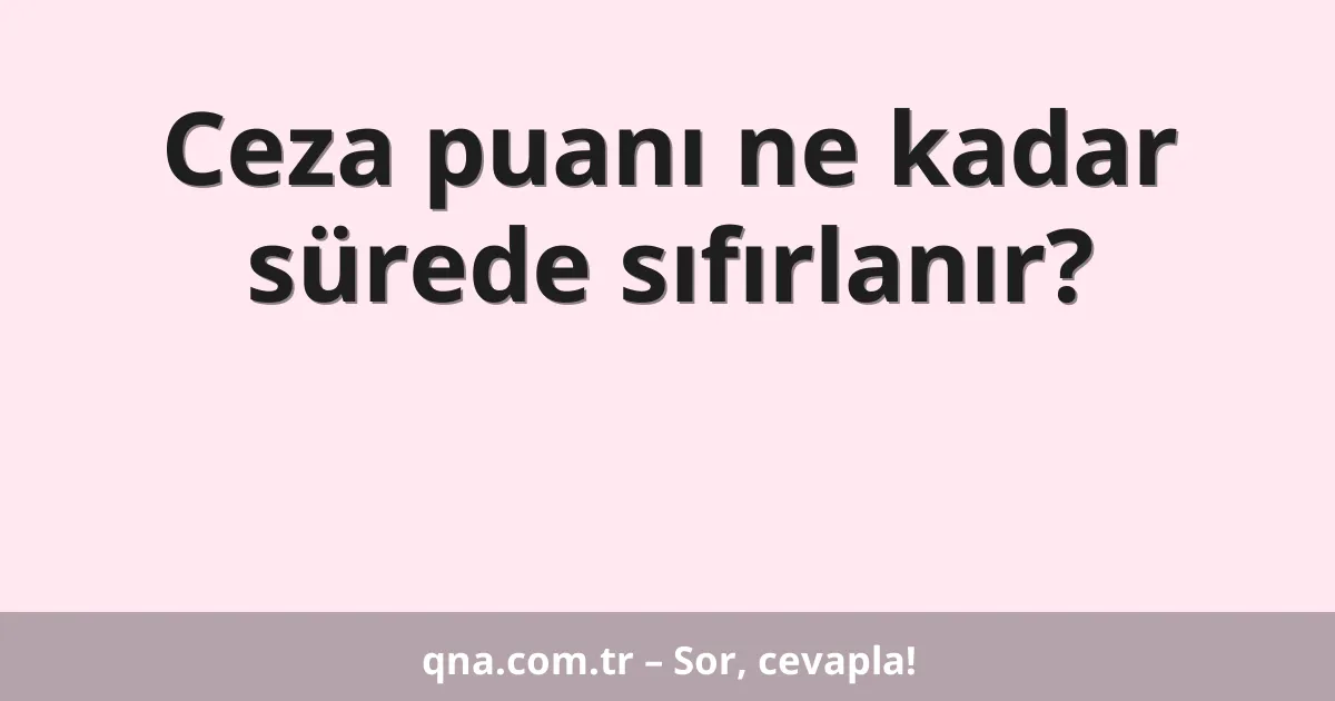 Ceza puanı ne kadar sürede sıfırlanır?