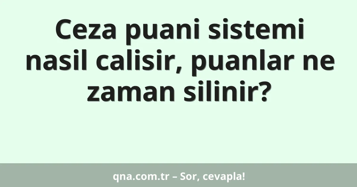 Ceza puani sistemi nasil calisir, puanlar ne zaman silinir?