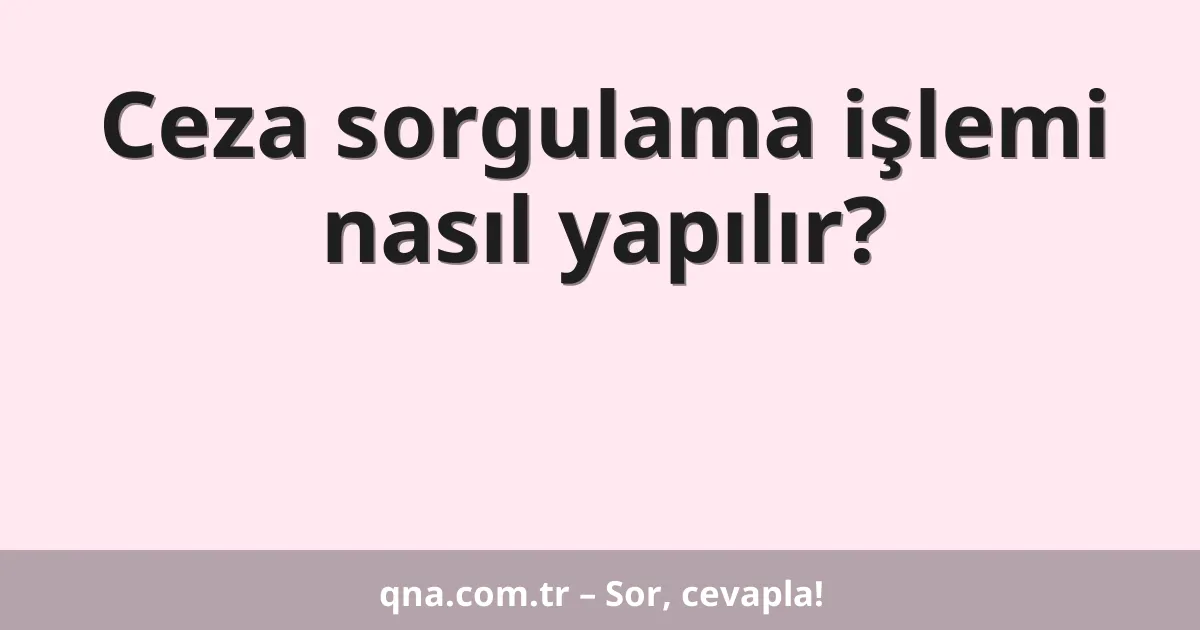 Ceza sorgulama işlemi nasıl yapılır?
