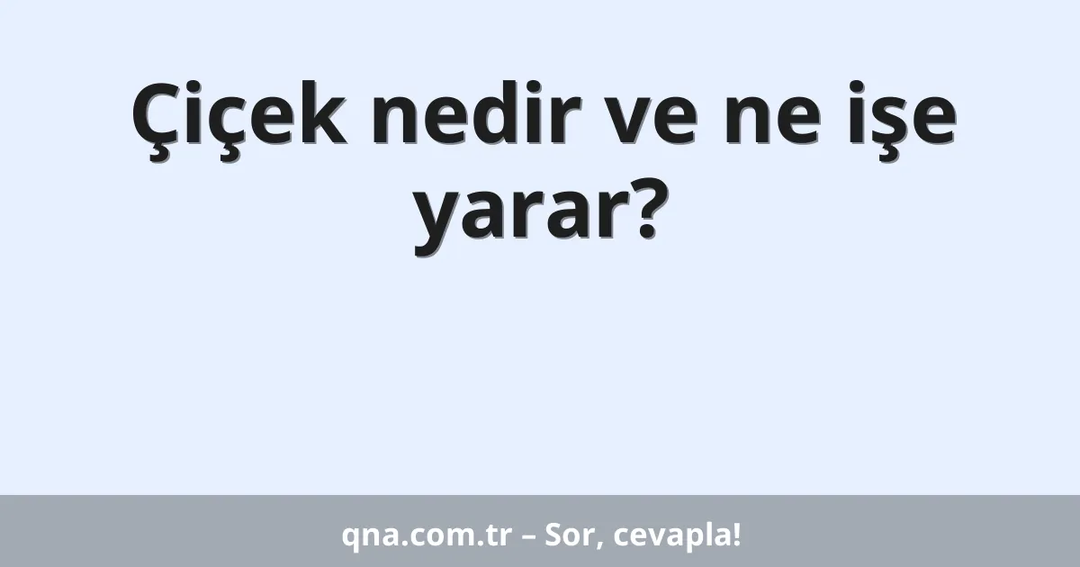 Çiçek nedir ve ne işe yarar?