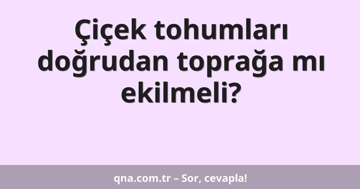 Çiçek tohumları doğrudan toprağa mı ekilmeli?