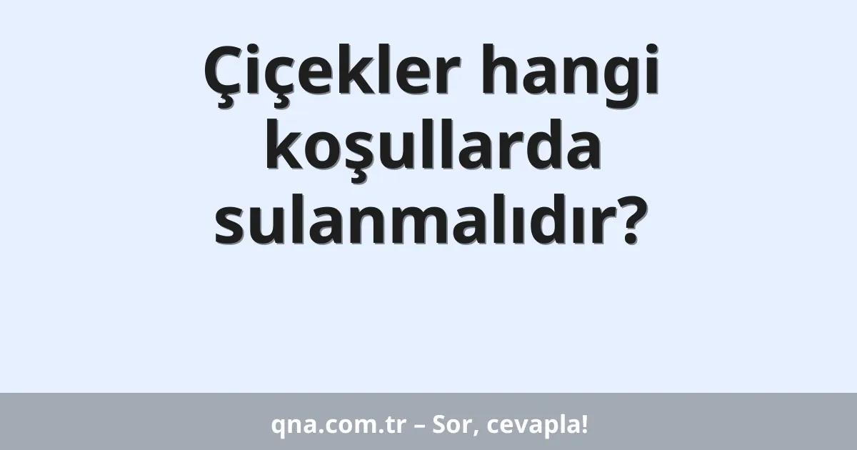 Çiçekler hangi koşullarda sulanmalıdır?