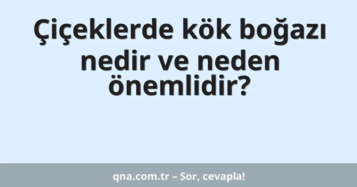 Çiçeklerde kök boğazı nedir ve neden önemlidir?