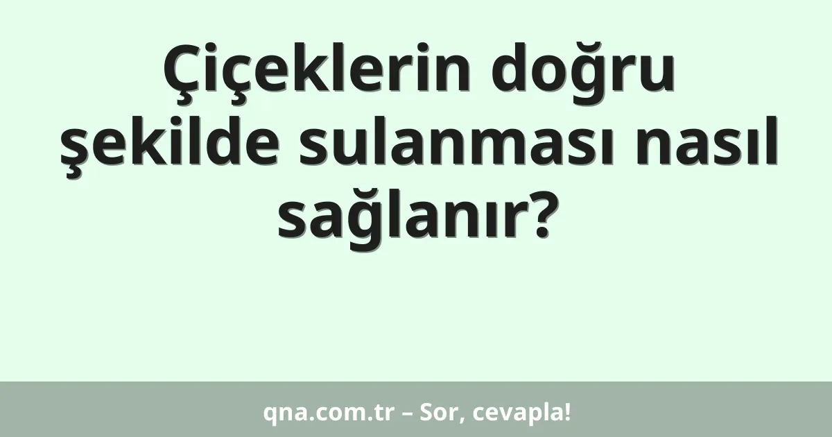 Çiçeklerin doğru şekilde sulanması nasıl sağlanır?