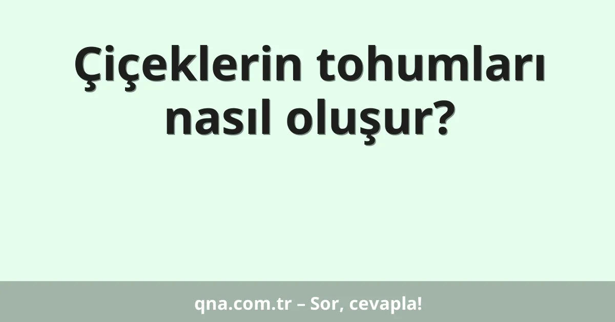 Çiçeklerin tohumları nasıl oluşur?