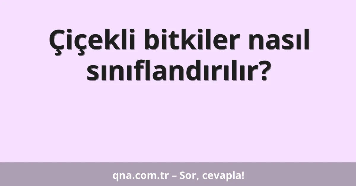 Çiçekli bitkiler nasıl sınıflandırılır?