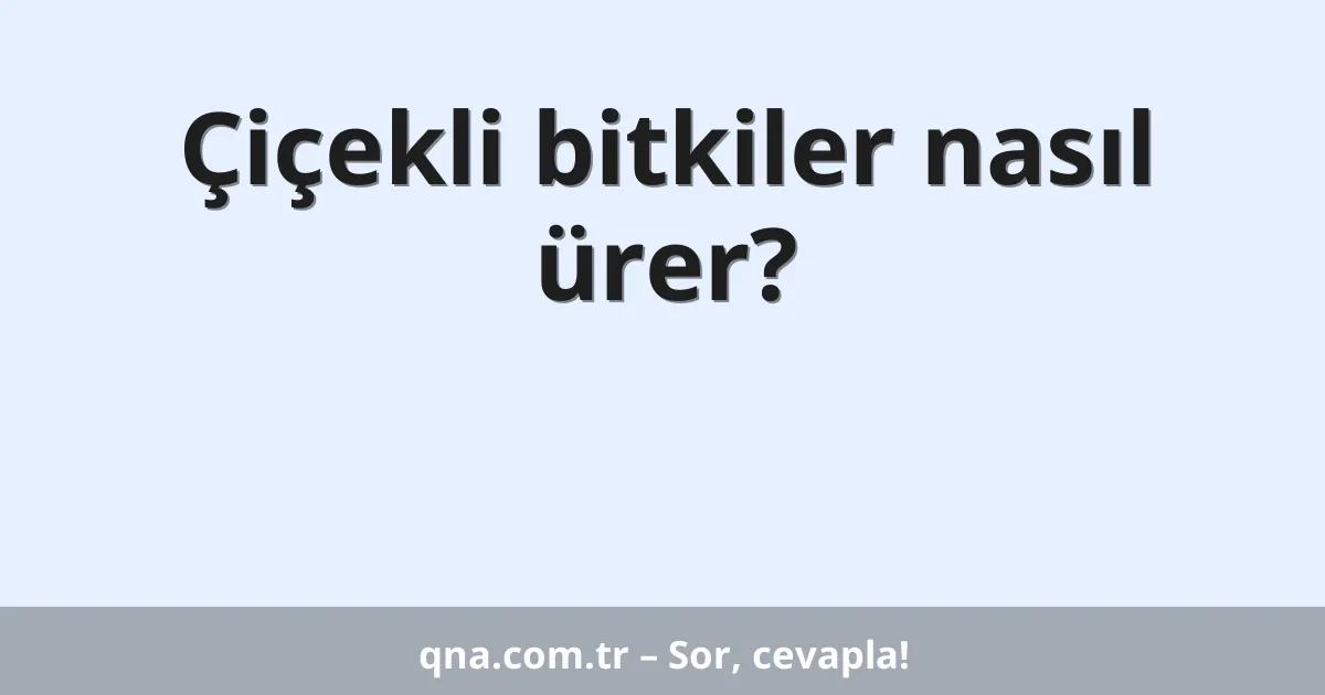 Çiçekli bitkiler nasıl ürer?