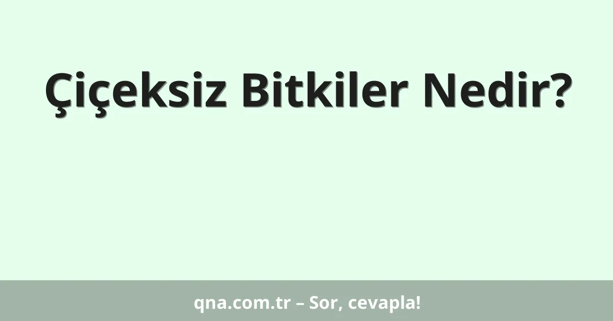 Çiçeksiz Bitkiler Nedir?