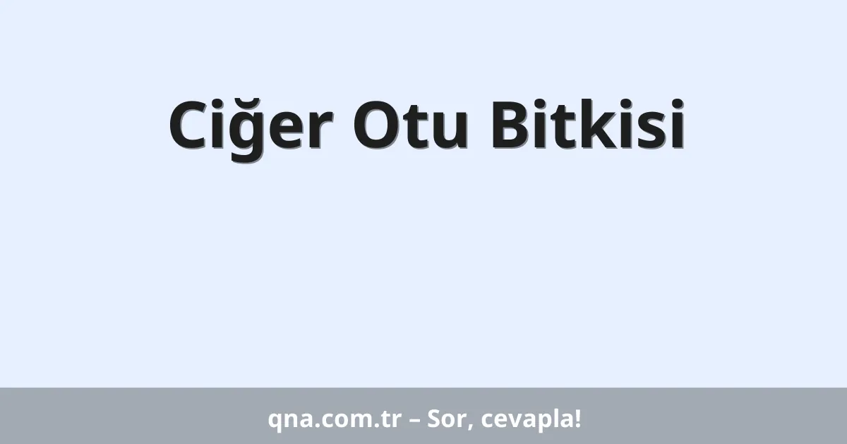 Ciğer Otu Bitkisi