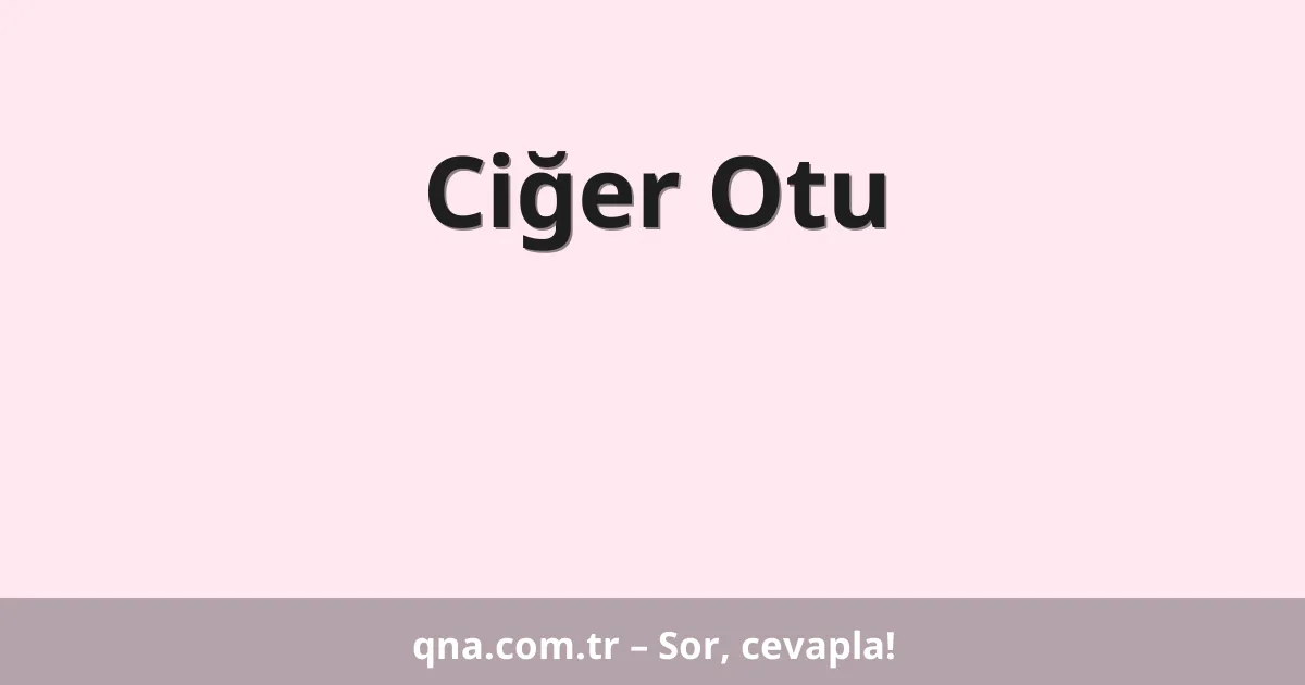 Ciğer Otu