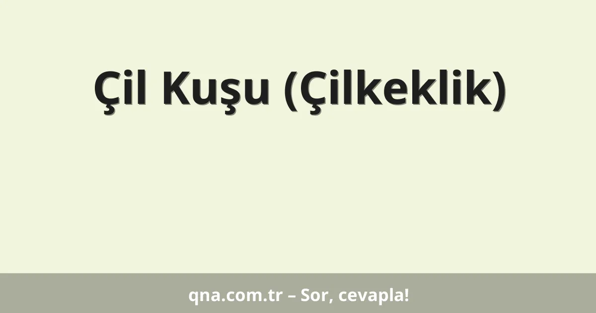 Çil Kuşu (Çilkeklik)